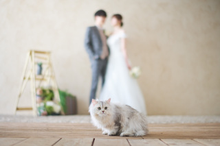 サロンドパルール　salon de parure_サロンドパルール〜幸せな気持ちを残す、写真の結婚式〜