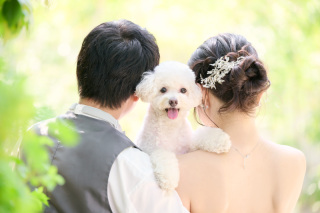 サロンドパルール　salon de parure_いつもの笑顔でちょっと特別な1日に