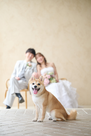 サロンドパルール　salon de parure_大切なペットとの撮影も追加料金なし♪