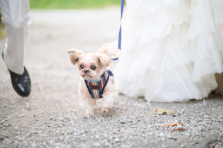 サロンドパルール　salon de parure_オールシーズン緑あふれるお庭つきスタジオで貸切撮影♪