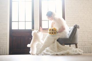サロンドパルール　salon de parure_大切なペットとの撮影も追加料金なし♪