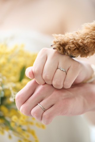 サロンドパルール　salon de parure_大切なペットとの撮影も追加料金なし♪