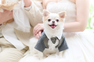 サロンドパルール　salon de parure_動物PHOTO大集合！