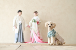 サロンドパルール　salon de parure_大切なペットとの撮影も追加料金なし♪