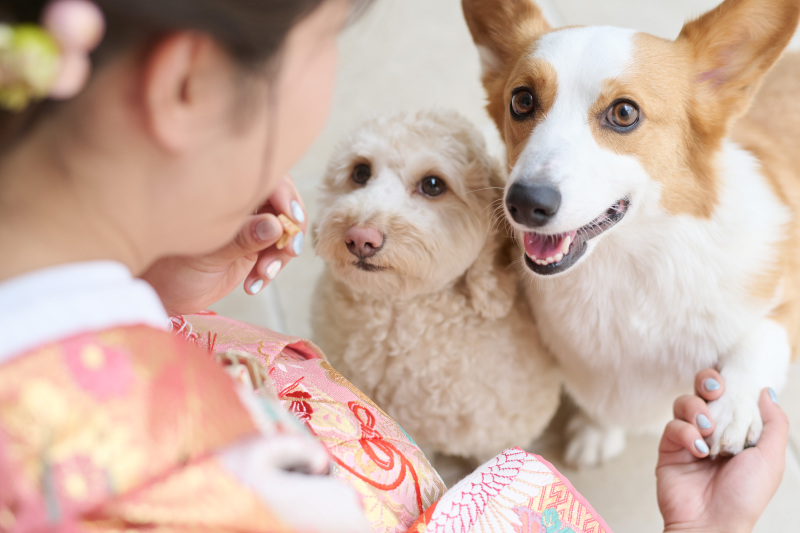 サロンドパルール　salon de parure_動物PHOTO大集合！