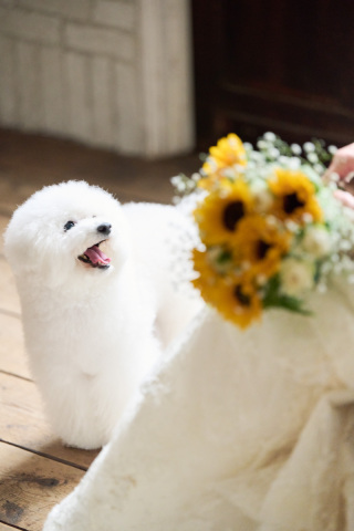 サロンドパルール　salon de parure_動物PHOTO大集合！