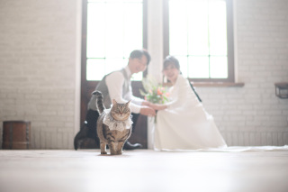 サロンドパルール　salon de parure_動物PHOTO大集合！