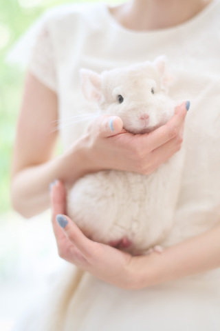 サロンドパルール　salon de parure_大切なペットとの撮影も追加料金なし♪