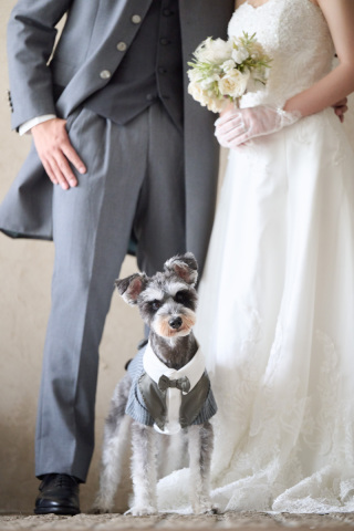 サロンドパルール　salon de parure_大切なペットとの撮影も追加料金なし♪