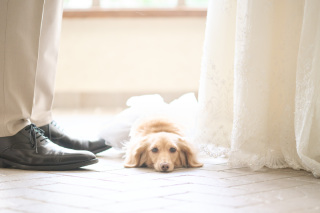 サロンドパルール　salon de parure_動物PHOTO大集合！