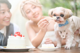 サロンドパルール　salon de parure_動物PHOTO大集合！