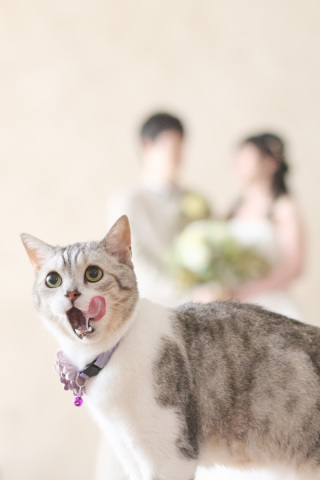 サロンドパルール　salon de parure_動物PHOTO大集合！