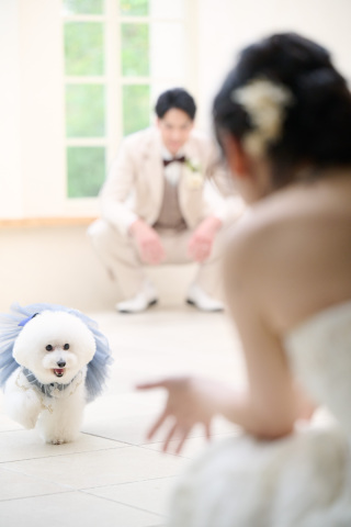 サロンドパルール　salon de parure_大切なペットとの撮影も追加料金なし♪