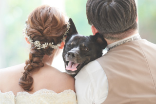 サロンドパルール　salon de parure_大切なペットとの撮影も追加料金なし♪