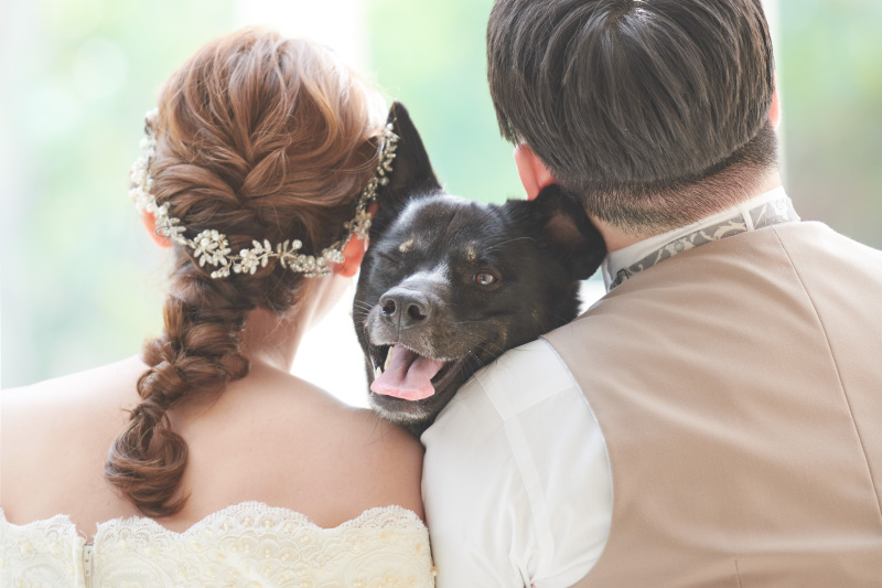 サロンドパルール　salon de parure_衣装の試着ができる