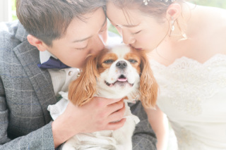 サロンドパルール　salon de parure_大切なペットとの撮影も追加料金なし♪