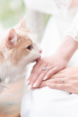 サロンドパルール　salon de parure_サロンドパルール〜幸せな気持ちを残す、写真の結婚式〜