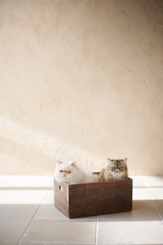 サロンドパルール　salon de parure_動物PHOTO大集合！