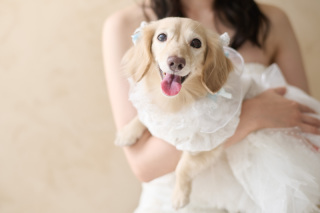 サロンドパルール　salon de parure_動物PHOTO大集合！