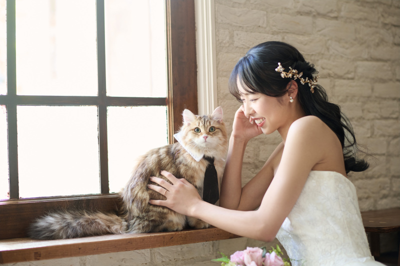 サロンドパルール salon de parure_ペットと一緒に撮影できる