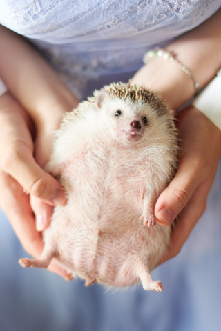 サロンドパルール　salon de parure_動物PHOTO大集合！