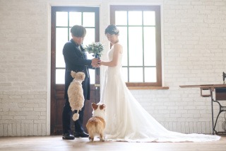 サロンドパルール　salon de parure_動物PHOTO大集合！