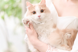 サロンドパルール　salon de parure_動物PHOTO大集合！