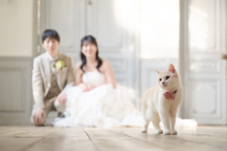 サロンドパルール　salon de parure_サロンドパルール〜幸せな気持ちを残す、写真の結婚式〜