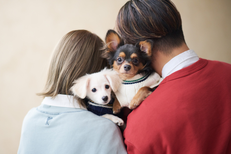 【気軽にサクッと撮影！】私服フォトプラン｜データ10点｜ペットOK｜オンライン相談可＆事前来店不要【4月5月◇月曜限定プラン】