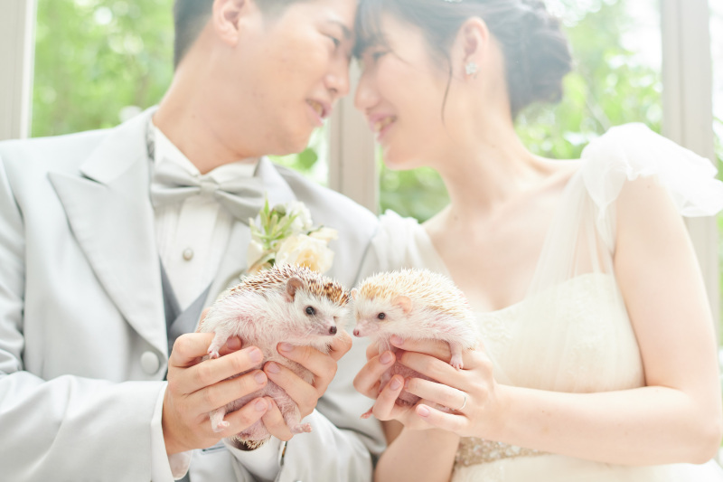\たとえば/ 洋装2着*わんちゃん猫ちゃんだけじゃない!ペットとウェディング♡