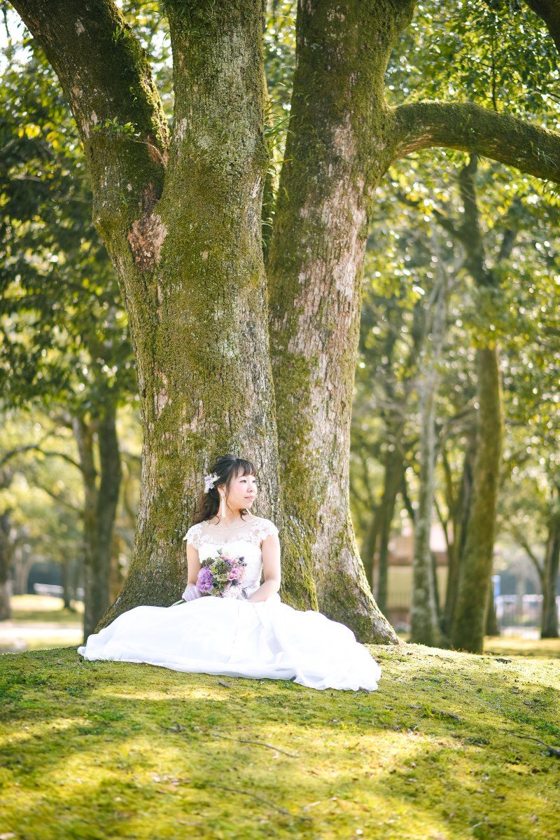 絵本の中のような一枚に