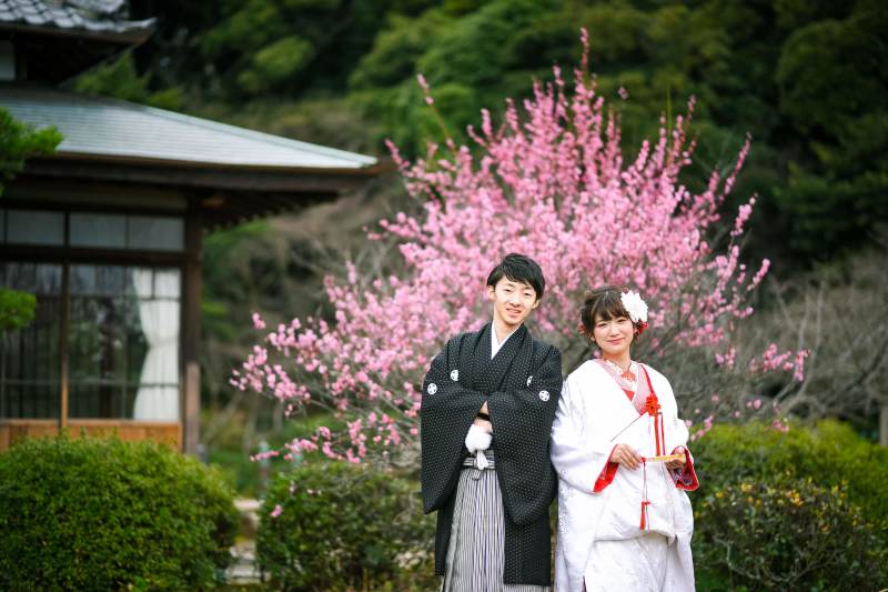 ちょうど梅の花が♡