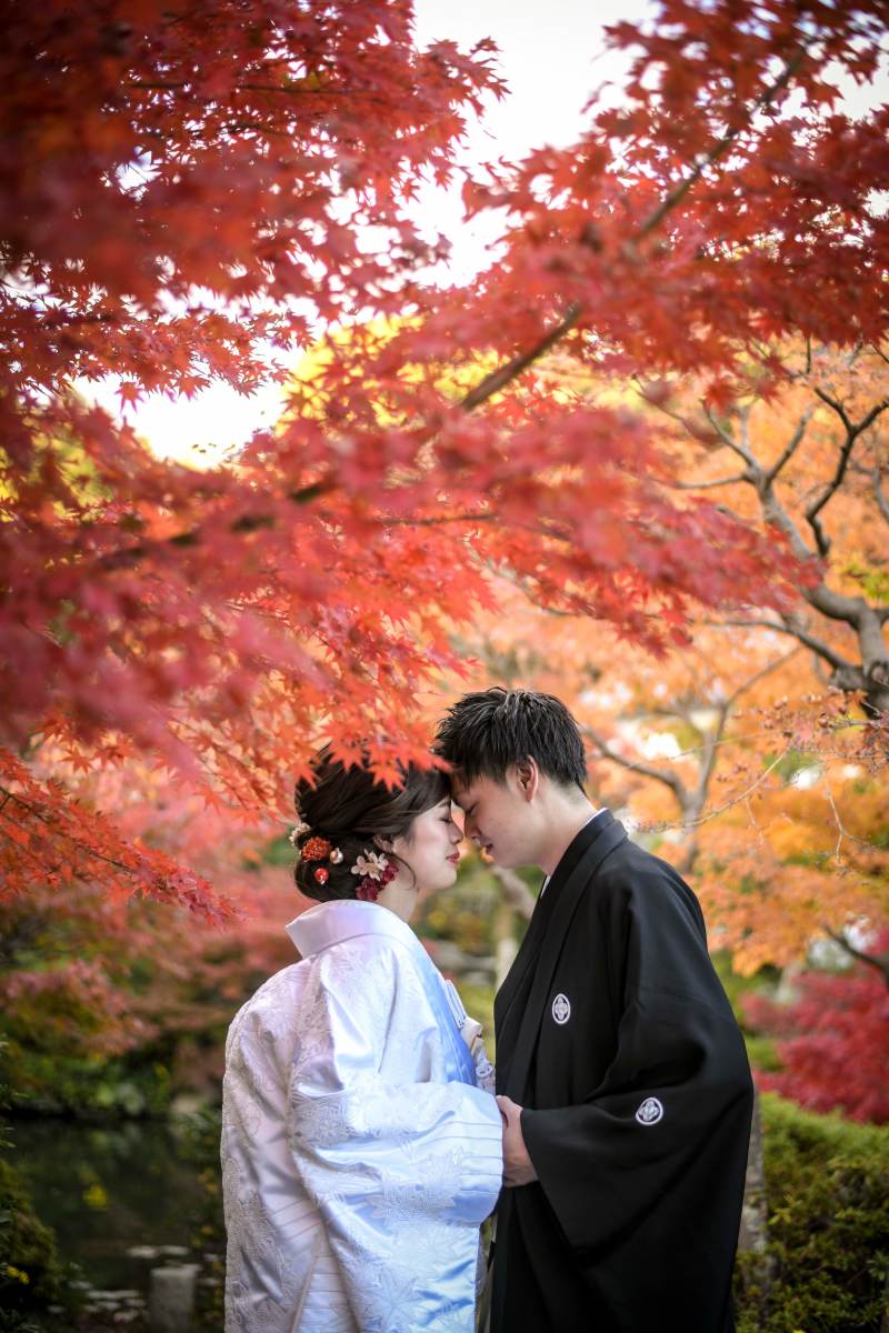 庭園で撮影再スタート!