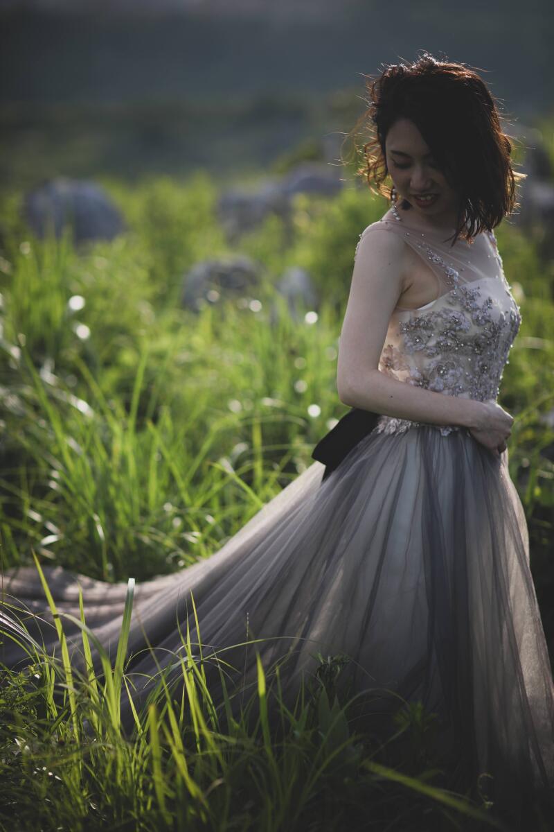 WD ×オーバードレス