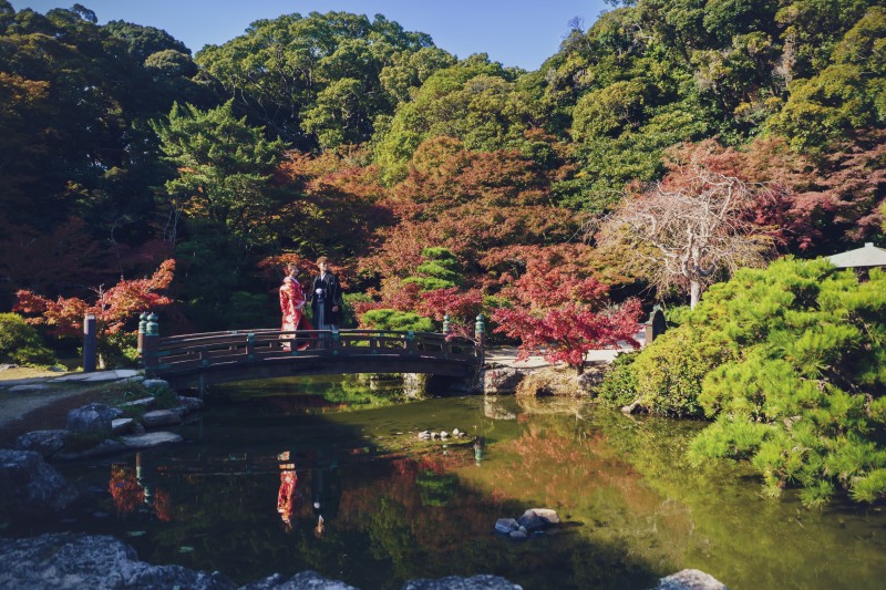 赤く染まったもみじ