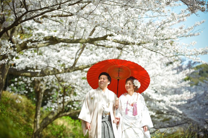【春】はやはり、桜です♡