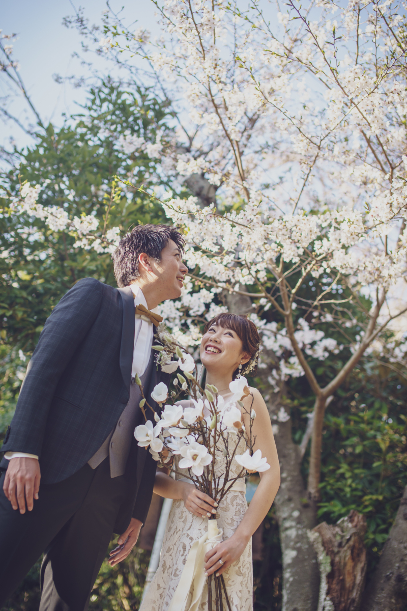 たまたま桜と遭遇