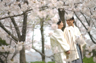 和装×WD×CD×桜満開！