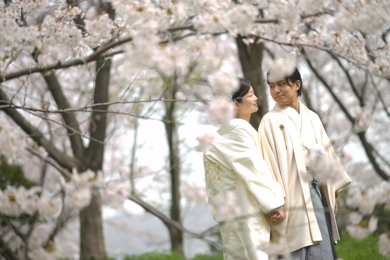 和装×WD×CD×桜満開!