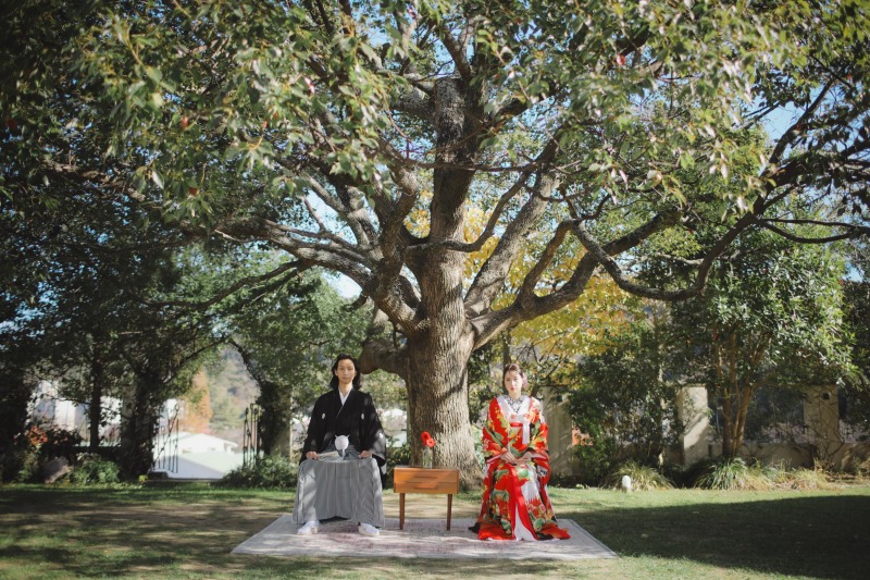 大きなシンボルツリーの下で