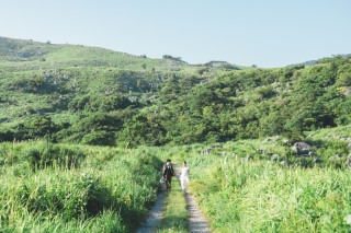 自然を存分に感じる広大な平尾台で撮影