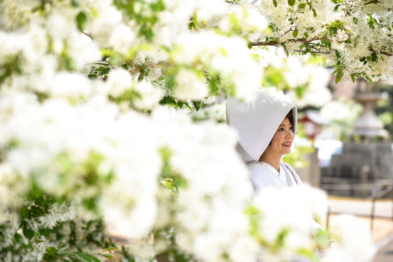 思い出の神社で幻想的なロケーションフォト