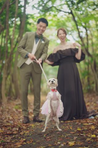和装1点洋装1点　洋装はワンちゃんとロケーション