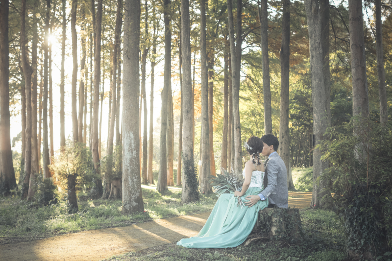 海外のような森