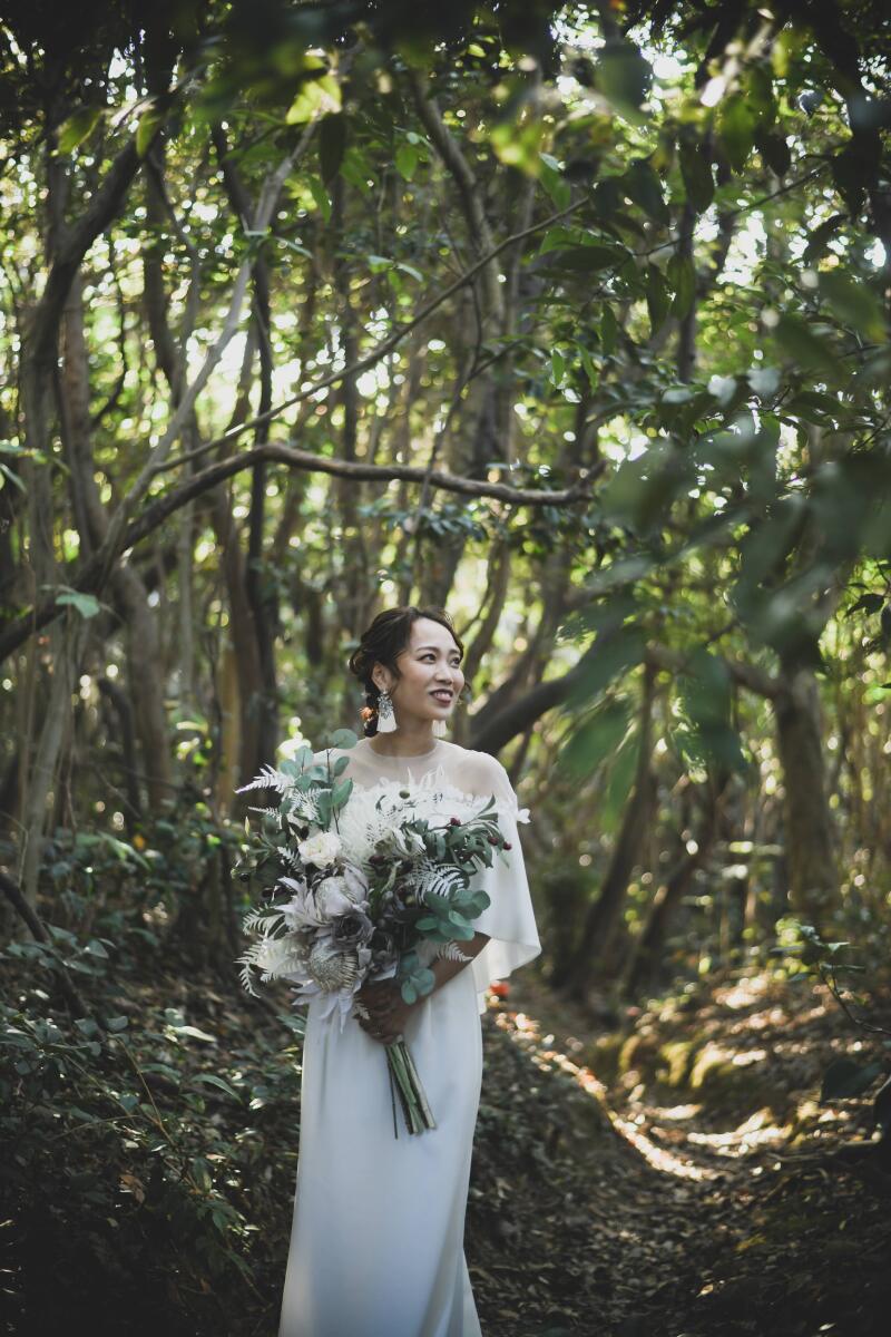 木漏れ日の美しい森の中で