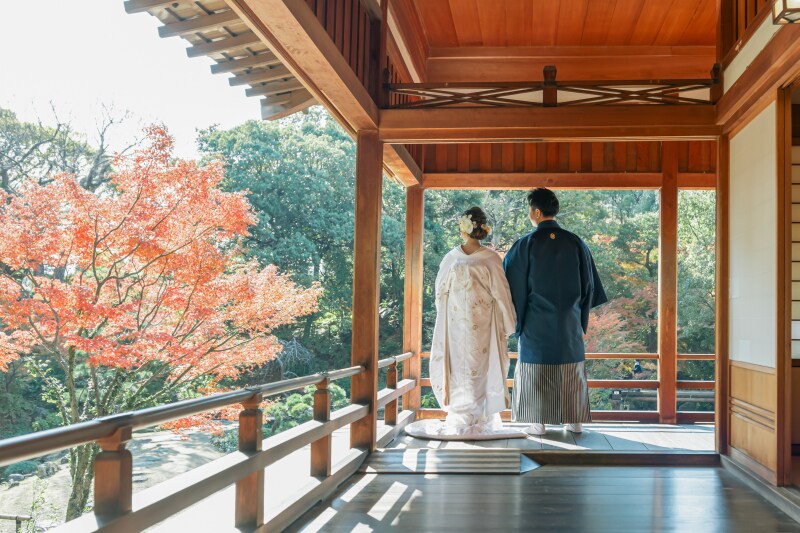 廊下からお庭を眺めてみる