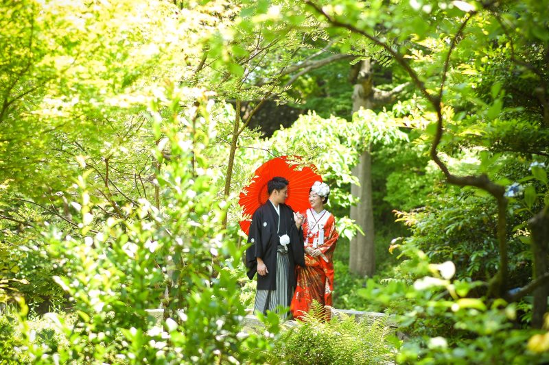 続いてグリーンに映える!赤の色打掛