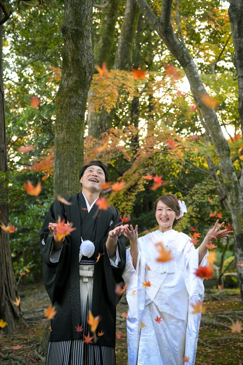 この時期だけの紅葉シャワー