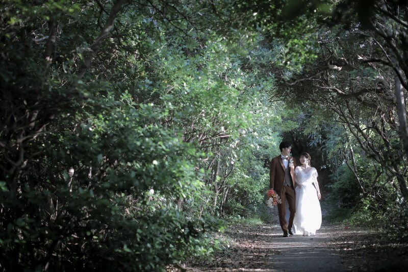 まずは森の中で