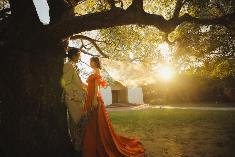 最後は夕焼けの光に照らされて